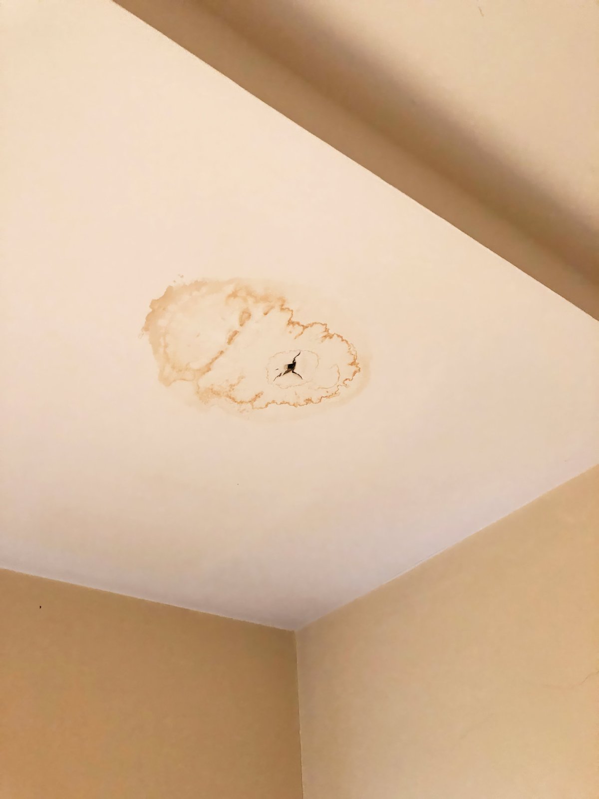 Close-up of a ceiling with brown water stain and a visible crack, indicating leakage and structural deterioration in a corner of a room.